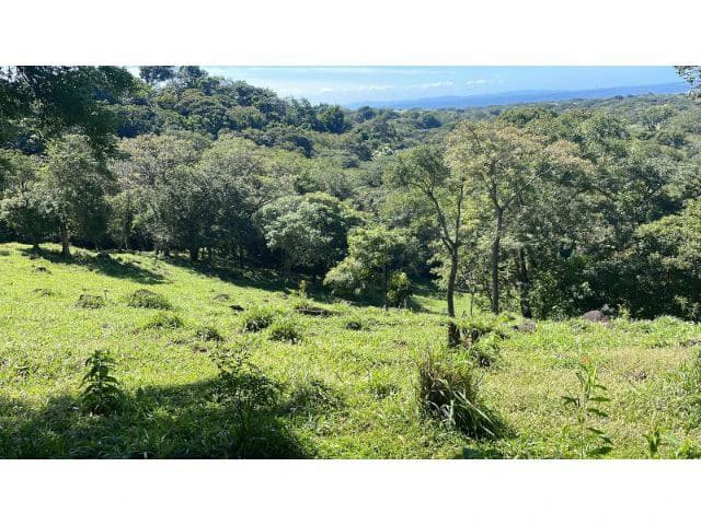 Nature Paradise Farm for sale in the mountains of Quebrada Grande, Building potential property 30 minutes away from Liberia - photo 35