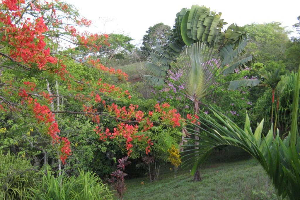 Hotel Horizontes Montezuma: Stunning Boutique Hotel in Montezuma near New Cobano Airport - photo 28