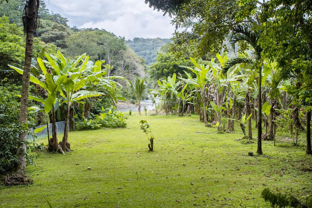 0.81 ACRES – Turn-Key Riverside Business & 3 Bedroom Home Near Dominical!!!: Near the Coast and Riverfront Hotel/Resort/Hostel For Sale in Dominical - photo 60