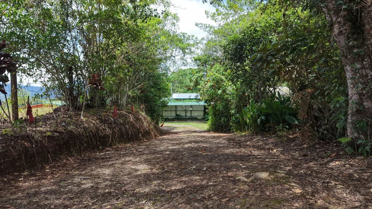 Mountain Home Construction Site For Sale in San Rafael Norte - photo 8