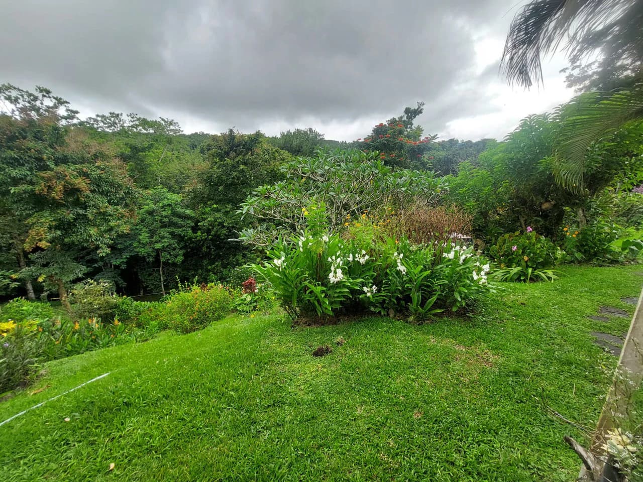 VILLA ESPERANZA - Natures Haven on Earth - photo 33