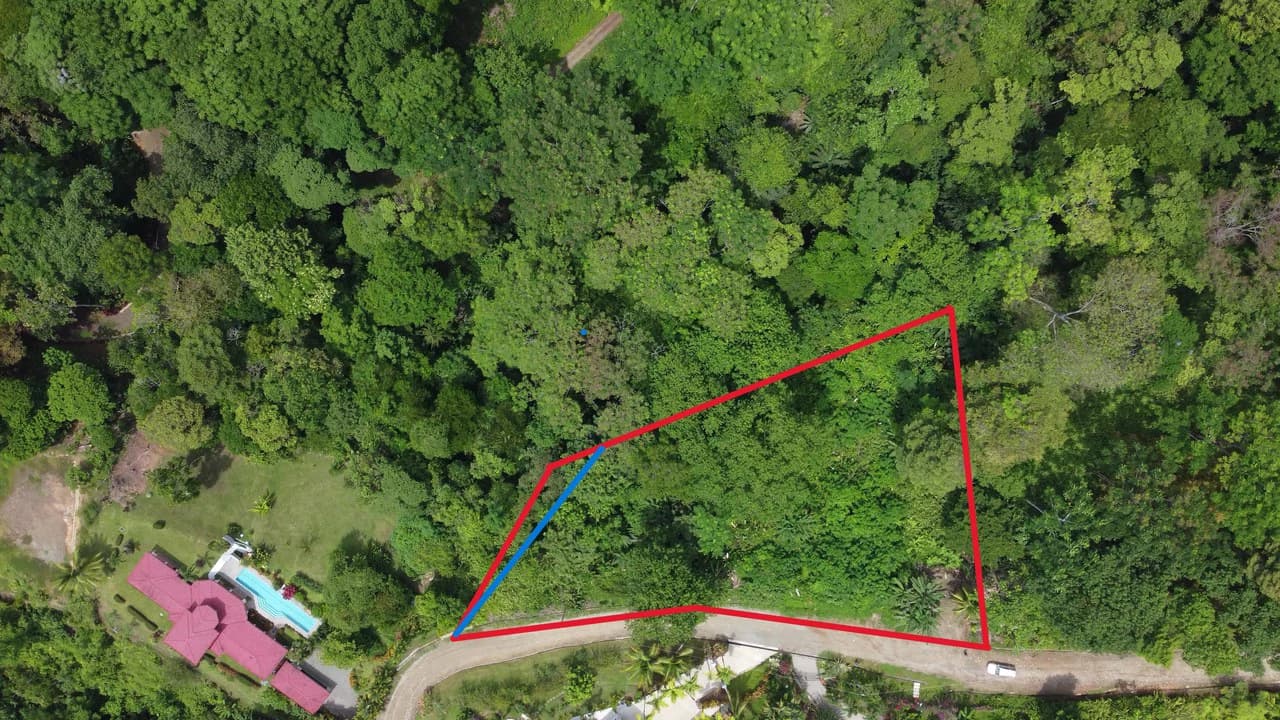 Ojochal - 1 Acre Ready To Build Jungle Lot, Ocean Breezes in Wildlife Corridore - photo 12