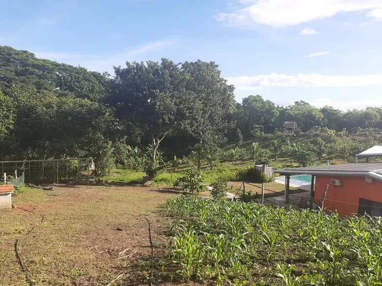Organic Finca Eco Dreams: $799,000 USDOrganic Finca Eco Dreams – Sustainable Eco Farm for Sale Near Playa Naranjo, Costa Rica Luxury Self-Sustainable Farm, Solar-Powered Estate & Investment Property o - photo 36