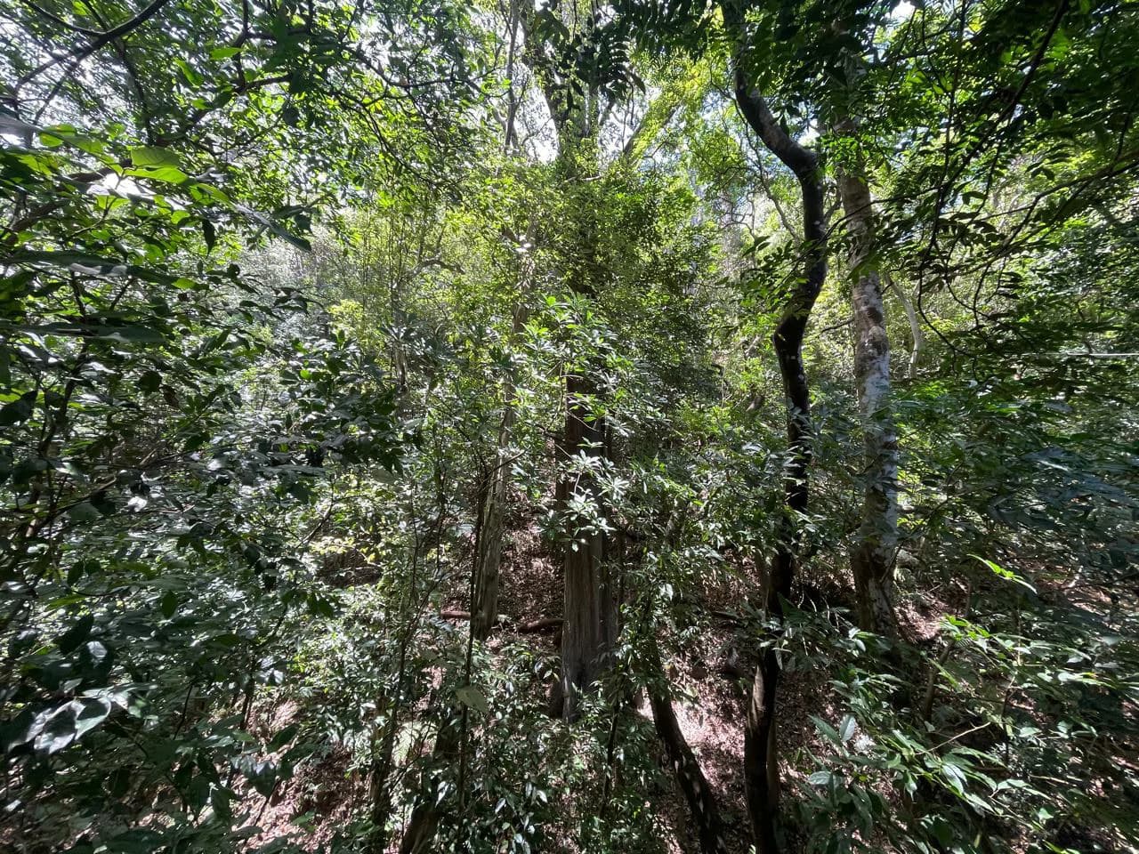 Ocean view property for sale Rodeo Ciudad Colon San Jose Costa Rica - photo 13