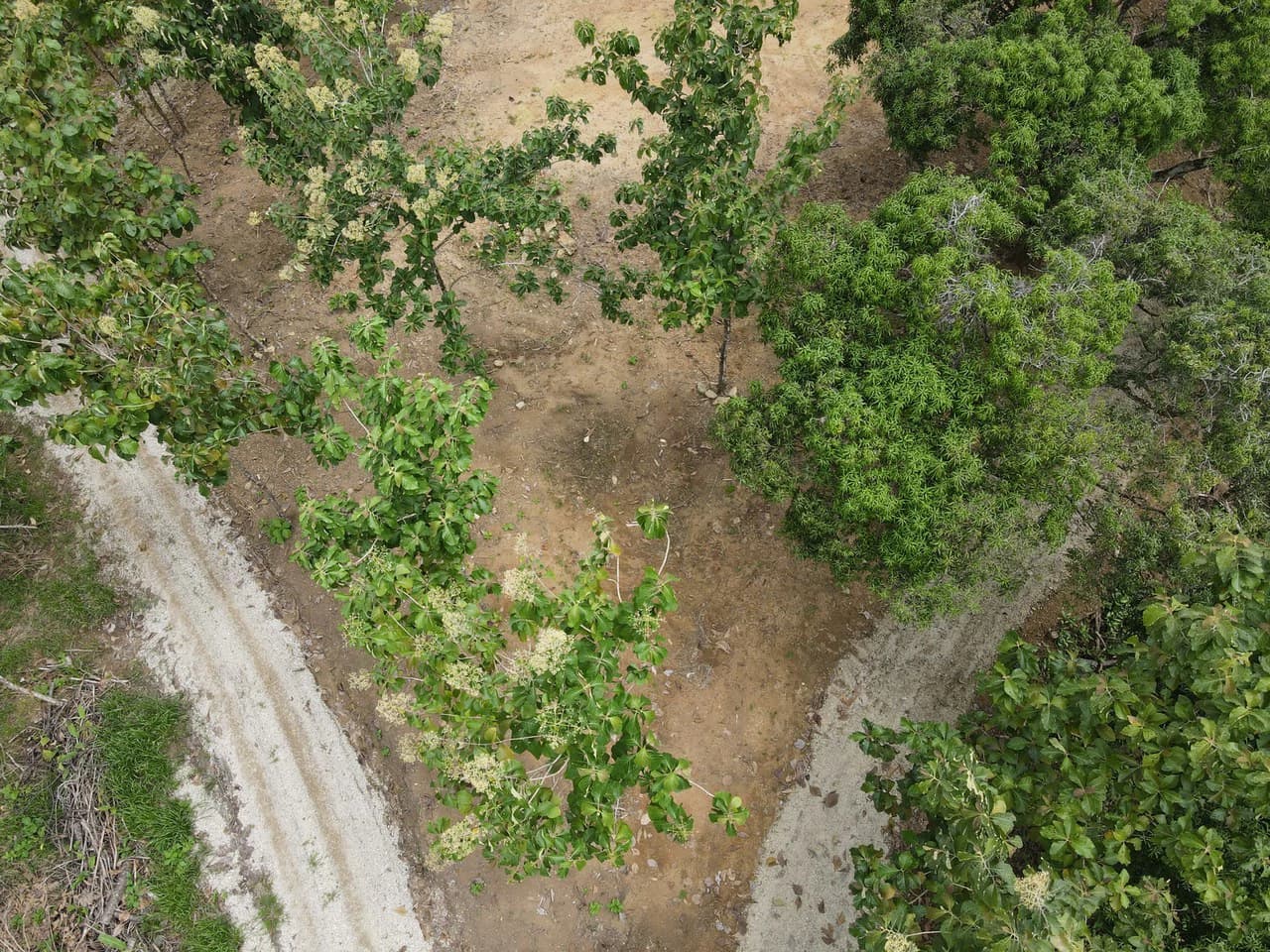 River Frontage Lot For Sale in Costa Rica Residential & Commercial Zoning - photo 22