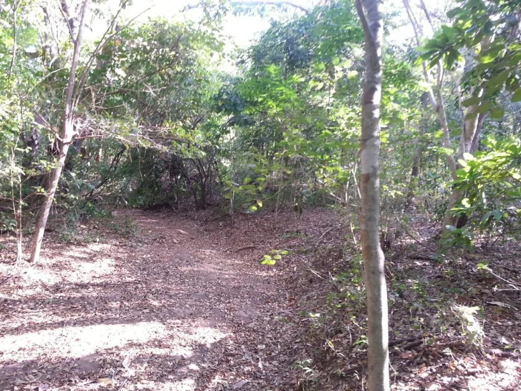 Large Commercial Development Property with Incredible Ocean Views in Playa Conchal, the Famous Gold Coast of Guanacaste - photo 5