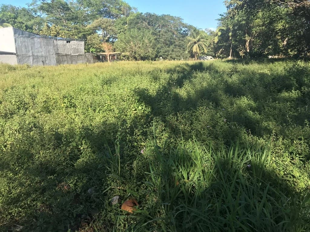 Large beach property in Playas del Coco - photo 4