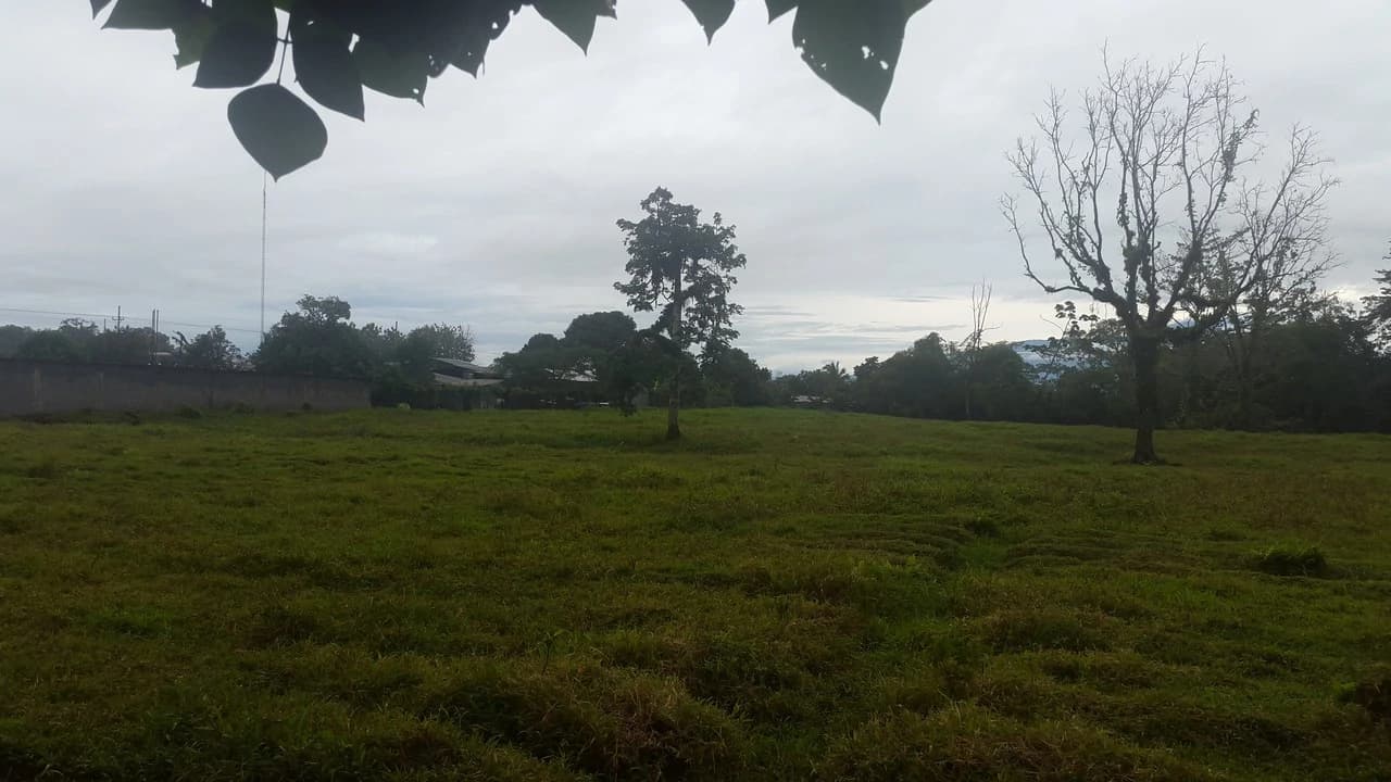 Countryside Development Parcel For Sale in Cariari - photo 23