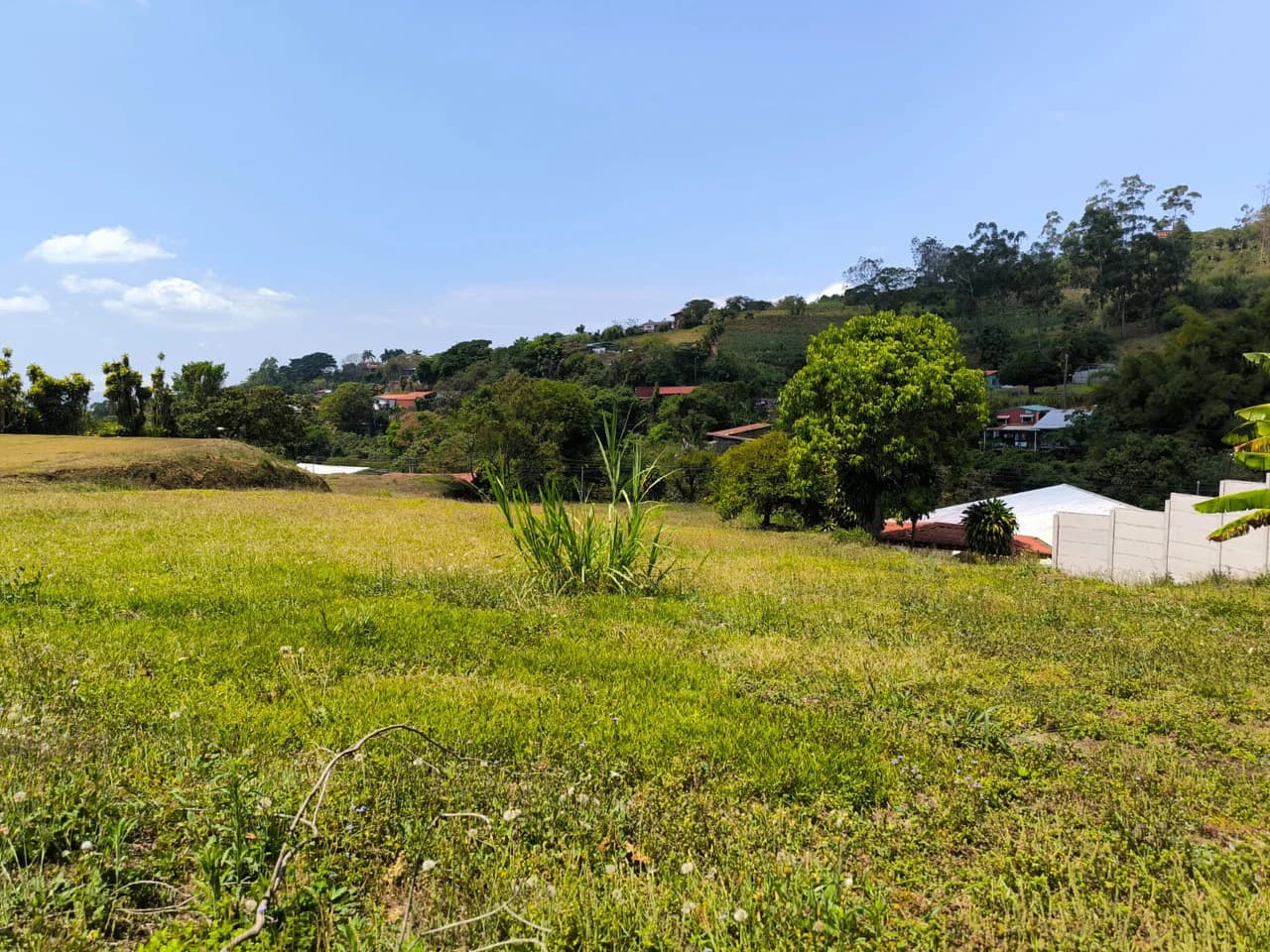 Lot for sale in San Miguel Grecia - photo 6