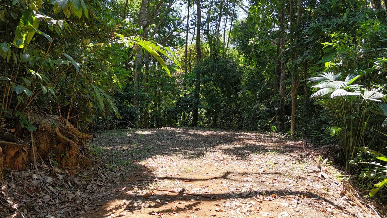 Exceptional Development Opportunity 71 acre Riverfront & Ocean View in Hatillo - photo 26