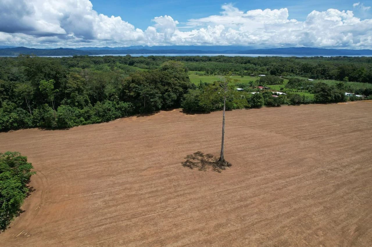 Finca La Palma, Puerto Jimenez: Excellent location ideal for development - photo 3