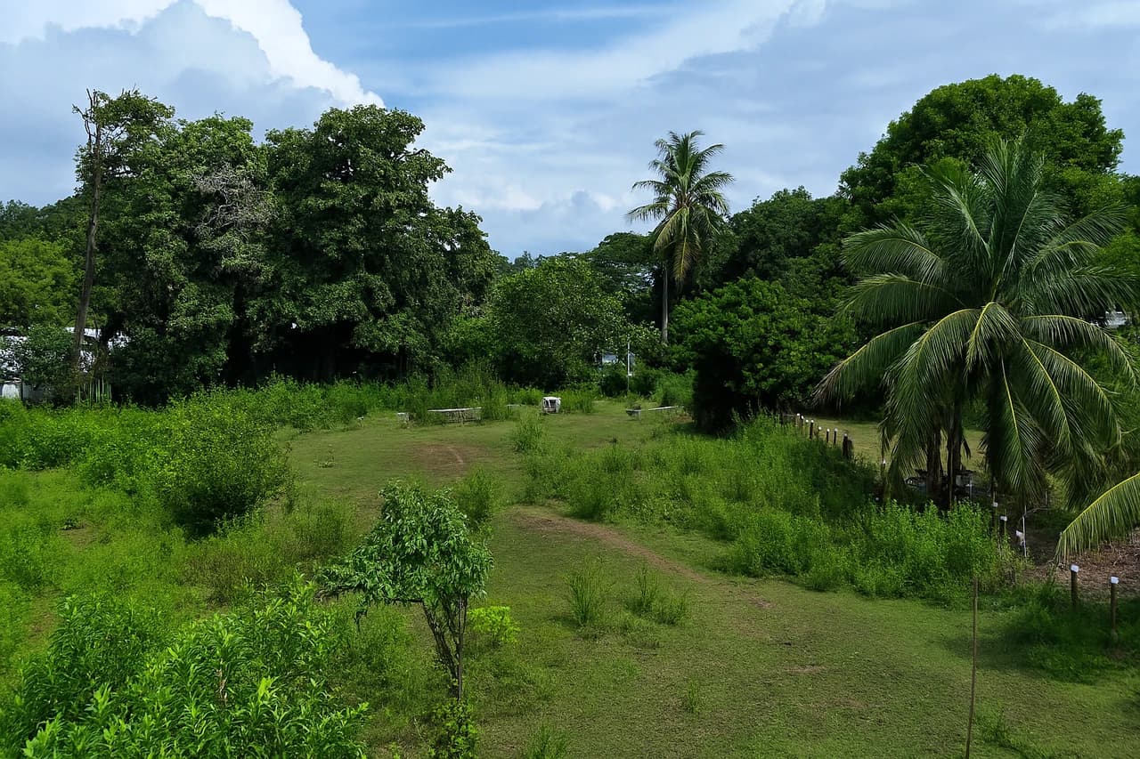 Walk to the beach, Developement Land, Mini Ranch, Central Uvita - photo 17