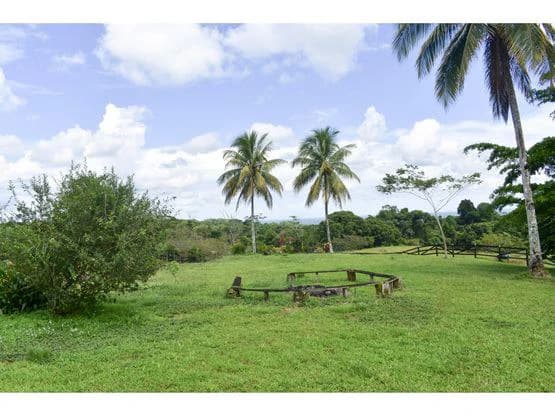 Serene Jungle Farm in Limon Province - photo 67