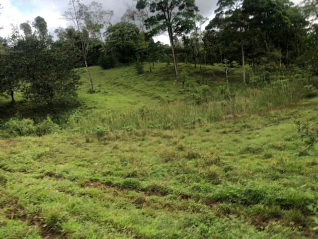 Hot and Cold Thermal Springs for Sale – Beautiful Property in Dos Ríos, Alajuela with Excellent Commercial Potential - photo 16