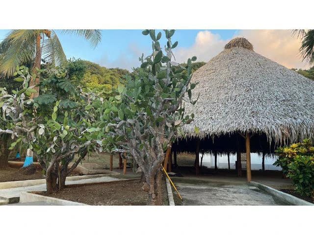 Top private property or Hotel Ground for Sale Fascinating ocean island landscape views, in front of the future new island port, newly built massive ranchos, and luxury swimming pools - photo 7