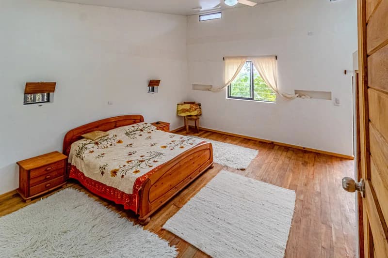Casa San Pedrito: Beautiful house for sale in San Pedrito,(1,3hect) Perez Zeledon - photo 35