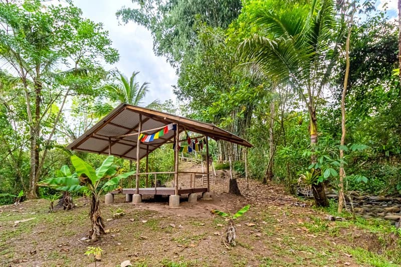 Casa San Pedrito: Beautiful house for sale in San Pedrito,(1,3hect) Perez Zeledon - photo 14
