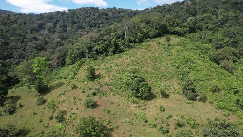 Ocean View & Primary forest 55-ha Rincon de Osa - photo 11