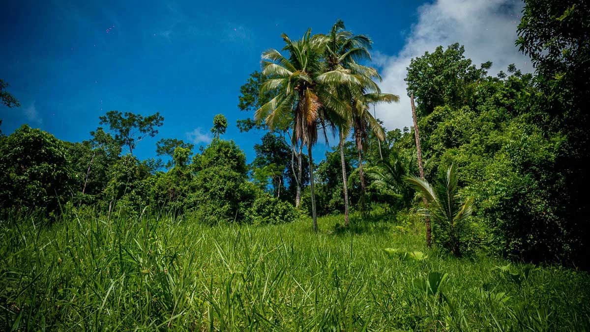 Rincon Mountain Land Gulf View | A Breathtaking Landscapes of Rincon - photo 24