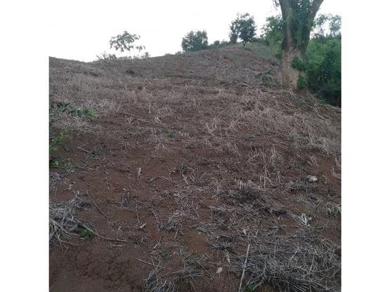 Home Construction Site For Sale in Bijagual - photo 5