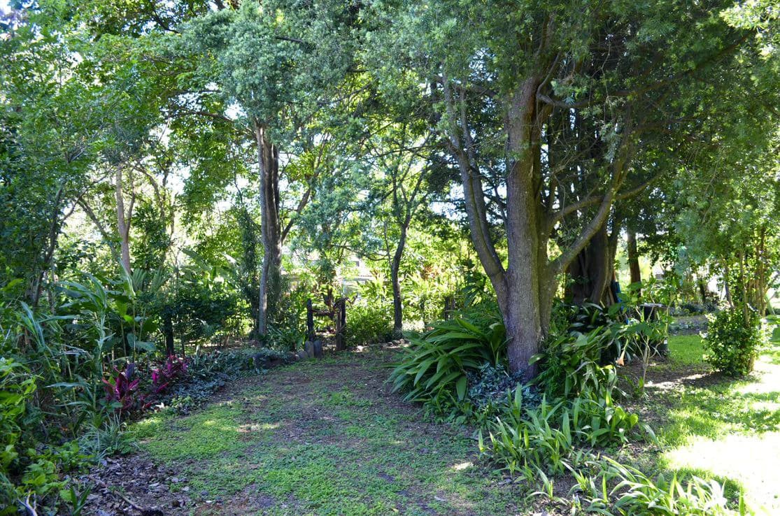 Commercial lot for sale in Santo Domingo, Heredia - photo 15