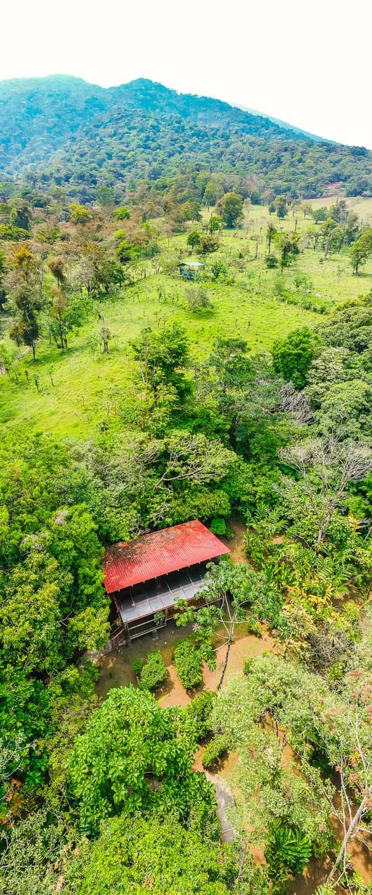 Casitas Tenorio B&B: Turnkey Eco-Lodge in Bijagua: Profitable Business, Sustainable Luxury, and Breathtaking Nature - photo 31