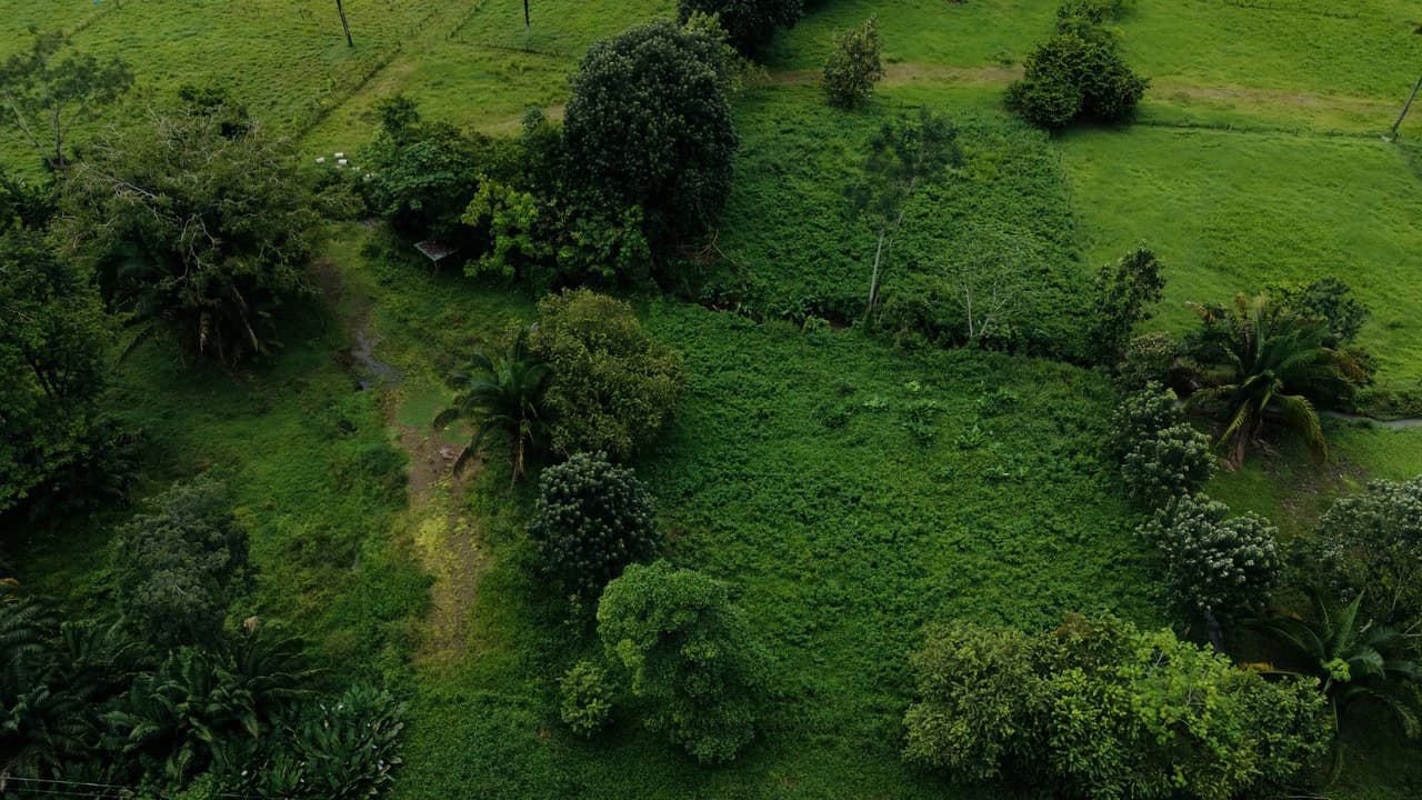 Strategic 5000sqm Commercial Property in Uvita: Perfect for any Business Vision - photo 4