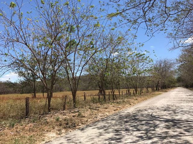 Huge terrain for sale in Guardia close to the International Airport of Liberia - photo 42