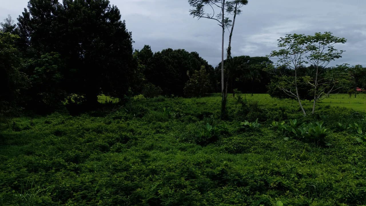 Strategic 5000sqm Commercial Property in Uvita: Perfect for any Business Vision - photo 6