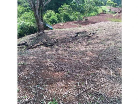 Home Construction Site For Sale in Bijagual - photo 4