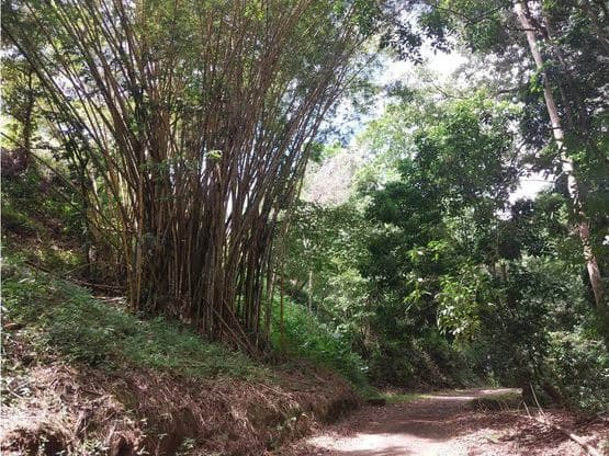 Home Construction Site For Sale in Jacó