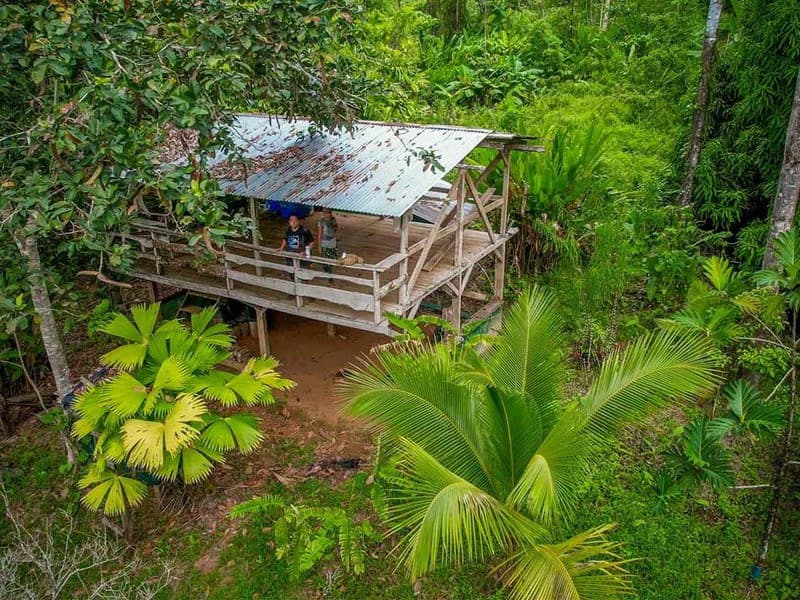 Golfo Dulce Waterfall Jungle Farm | A Nature Lover's Dream Come True