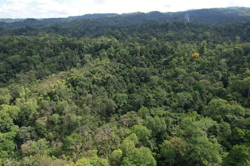 173-Acres of Nature Reserve with Spectacular Primary Forest & Golfo Dulce Views - photo 2