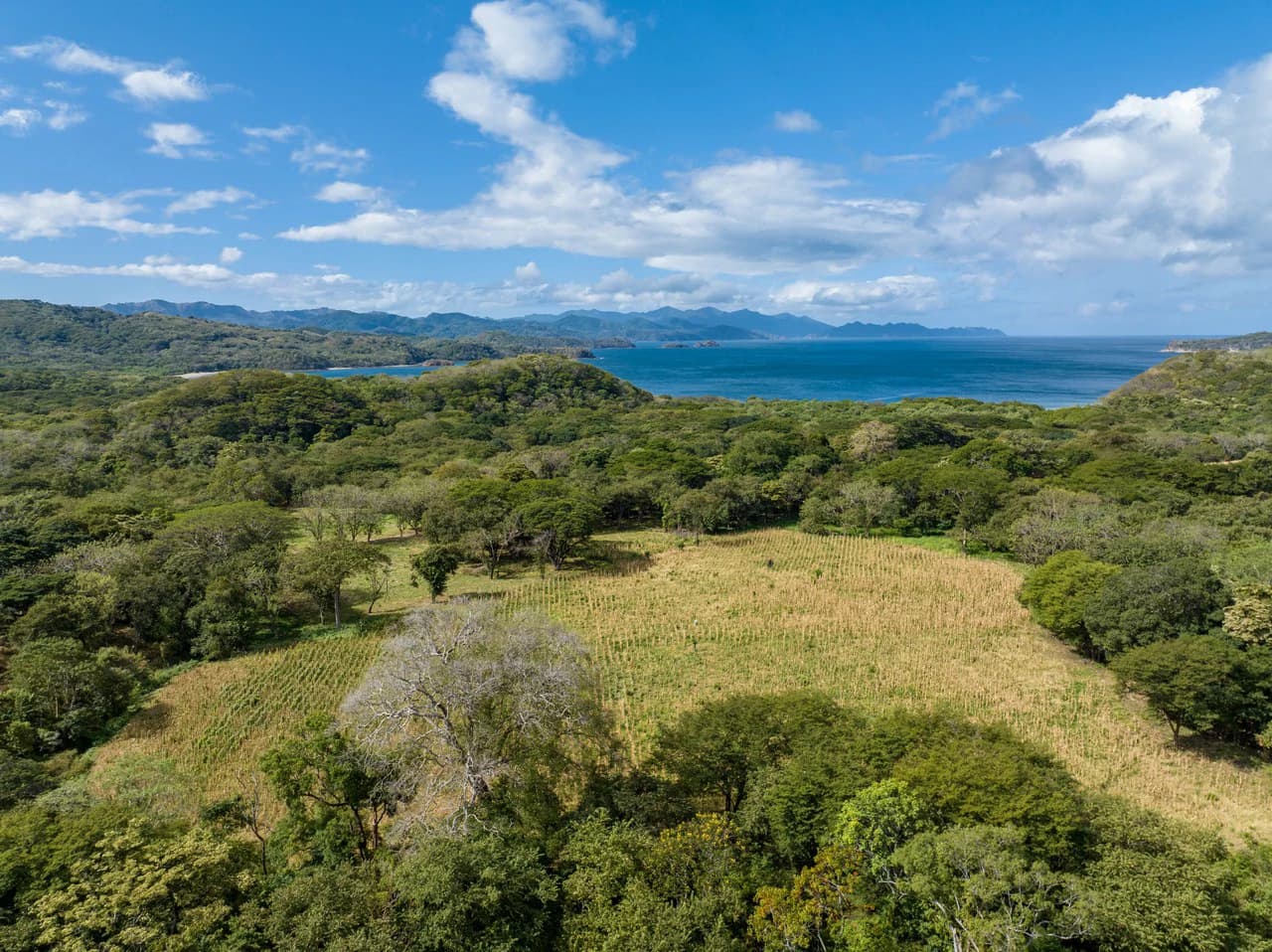 220 Acres Beachside Farm with Ocean View at Playa Junquillal in Guanacaste - photo 35
