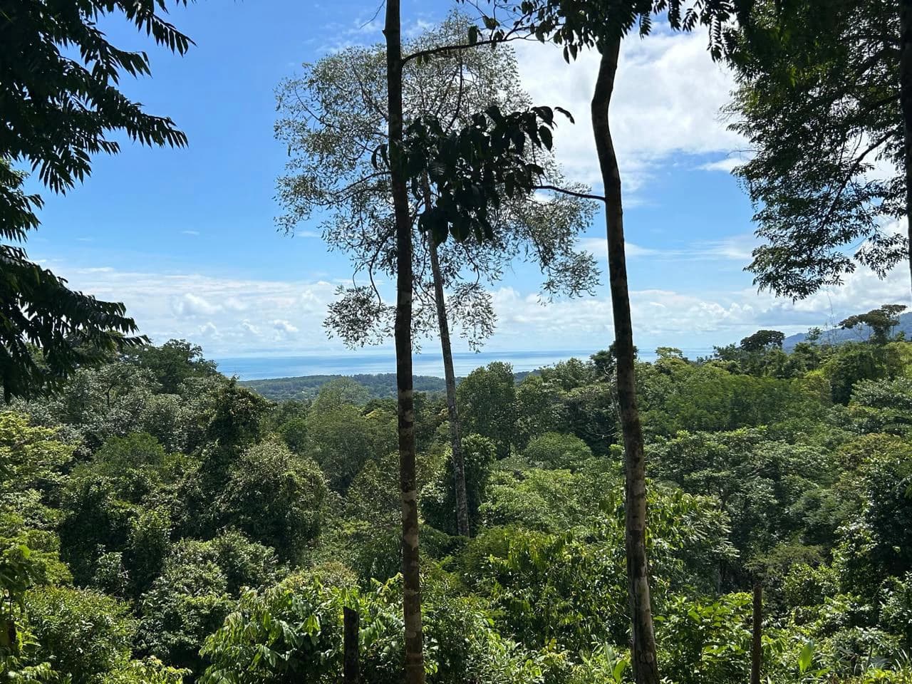 Marvelous Ocean View Parcel in Uvita. - photo 30