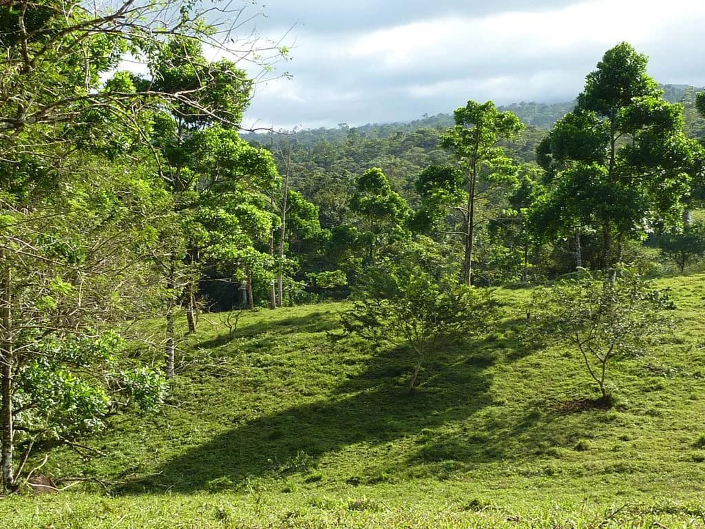 Beautiful Paradise farm for sale in the Bijagua area, nature, peace, and riverfrontage