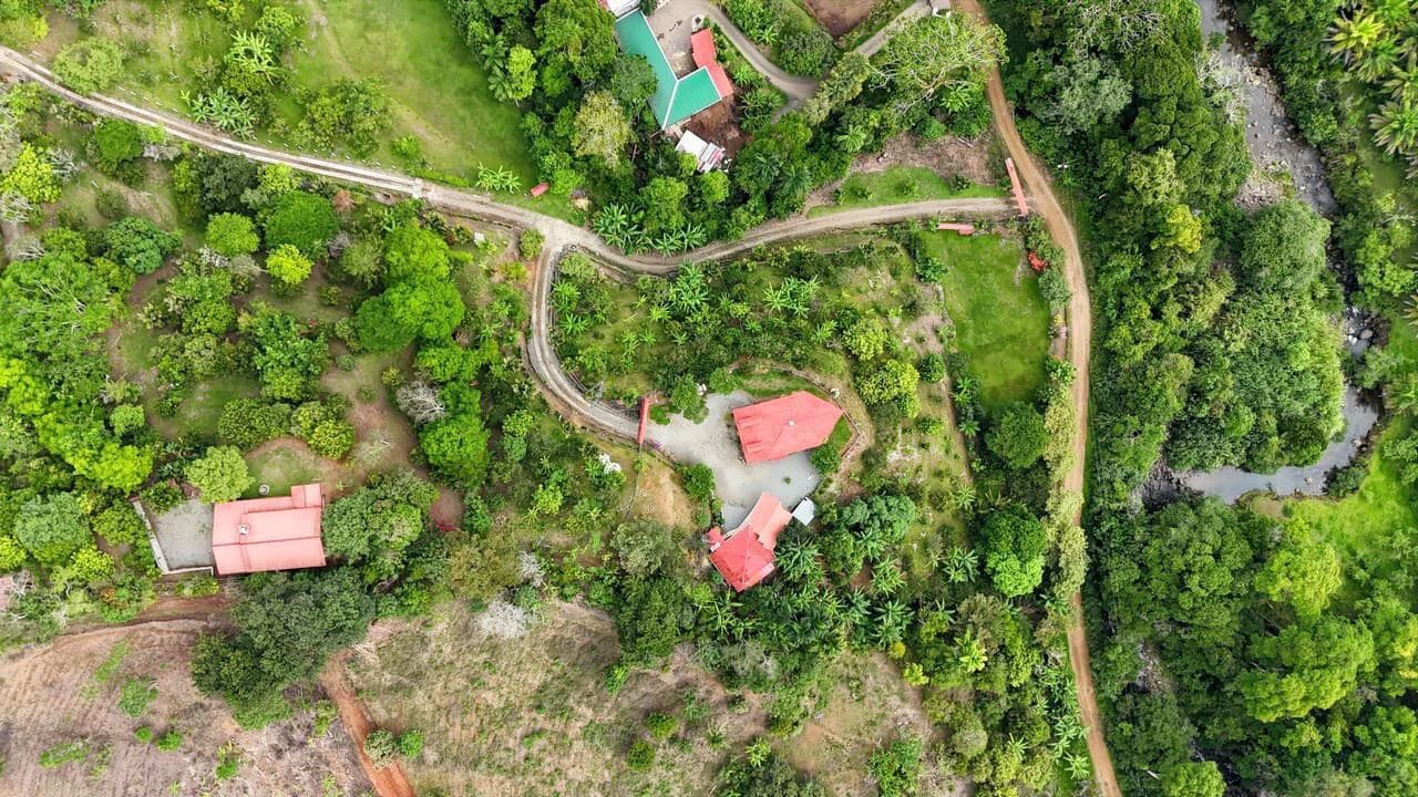 Charming Hardwood Cabin with Fruit Garden Near San Isidro - photo 3