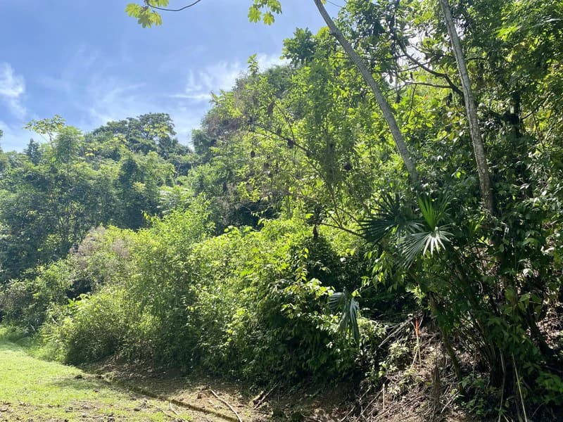 Exquisite Jungle property with Ocean View | Gated Community in Ojochal - photo 6