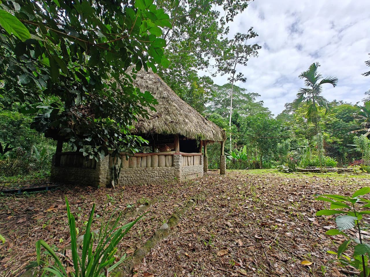 Mountain-Edge Sanctuary with Private Waterfall: 3 Titled Jungle Lots with Platforms, Waterfall, and Income Potential - photo 6