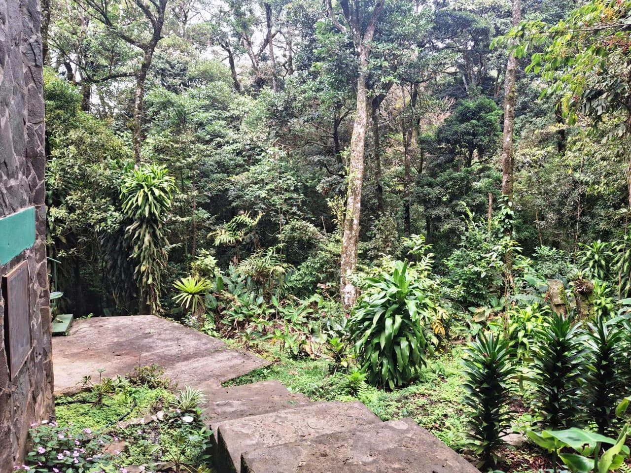 Casa Monte Verde: A LUXURY RAINFOREST HOME - photo 36