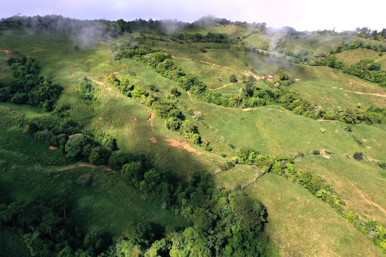 150 Acre Cattle Ranch with Panoramic Views Above the mountains of Uvita - photo 4