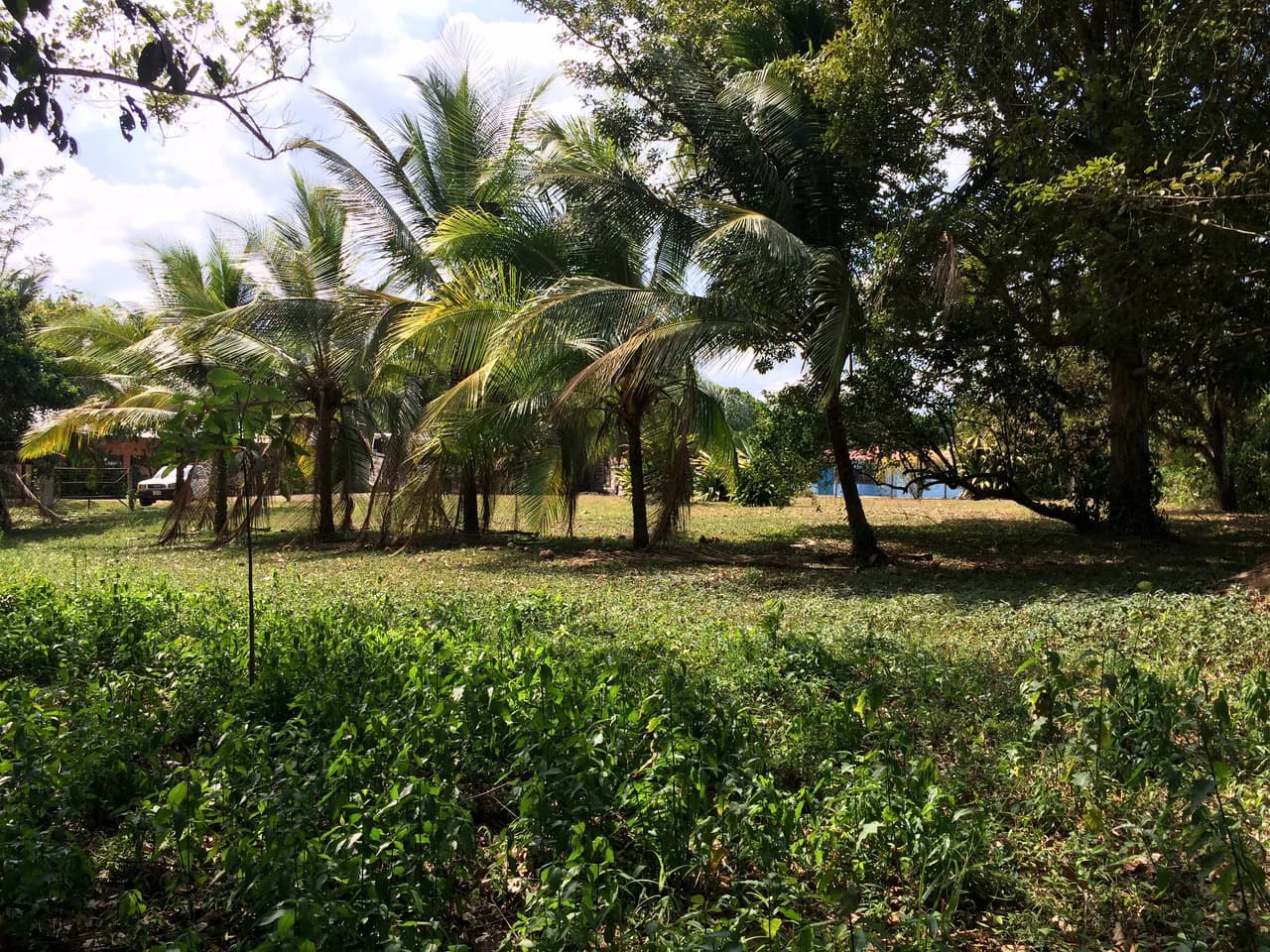 Propiedad grande: Countryside Home Construction Site For Sale in Caño Negro - photo 10