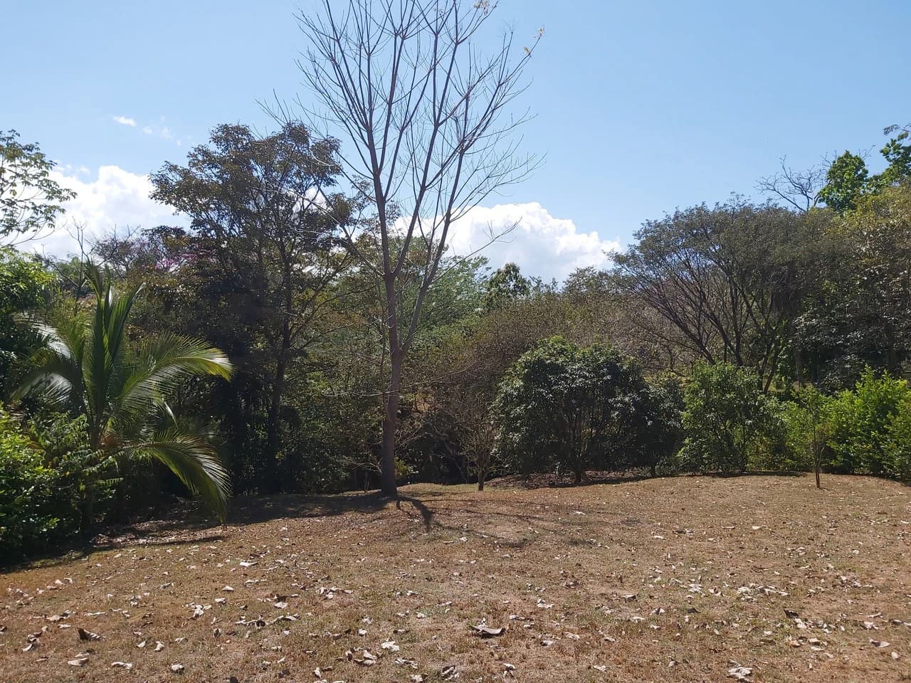 Countryside and Mountain Home Construction Site For Sale in San Juan de Mata - photo 22