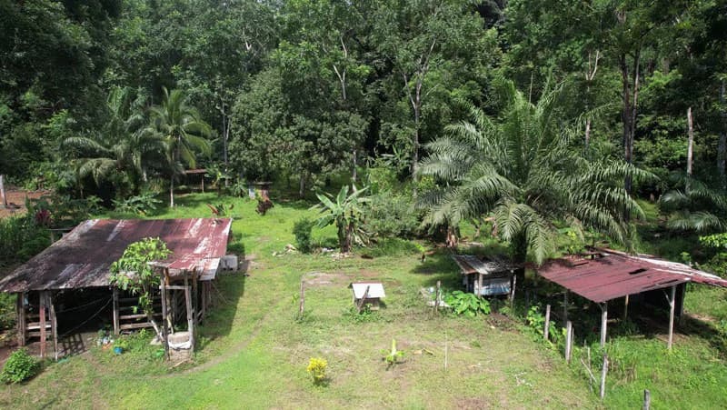 Ocean View & Primary forest 55-ha Rincon de Osa - photo 15