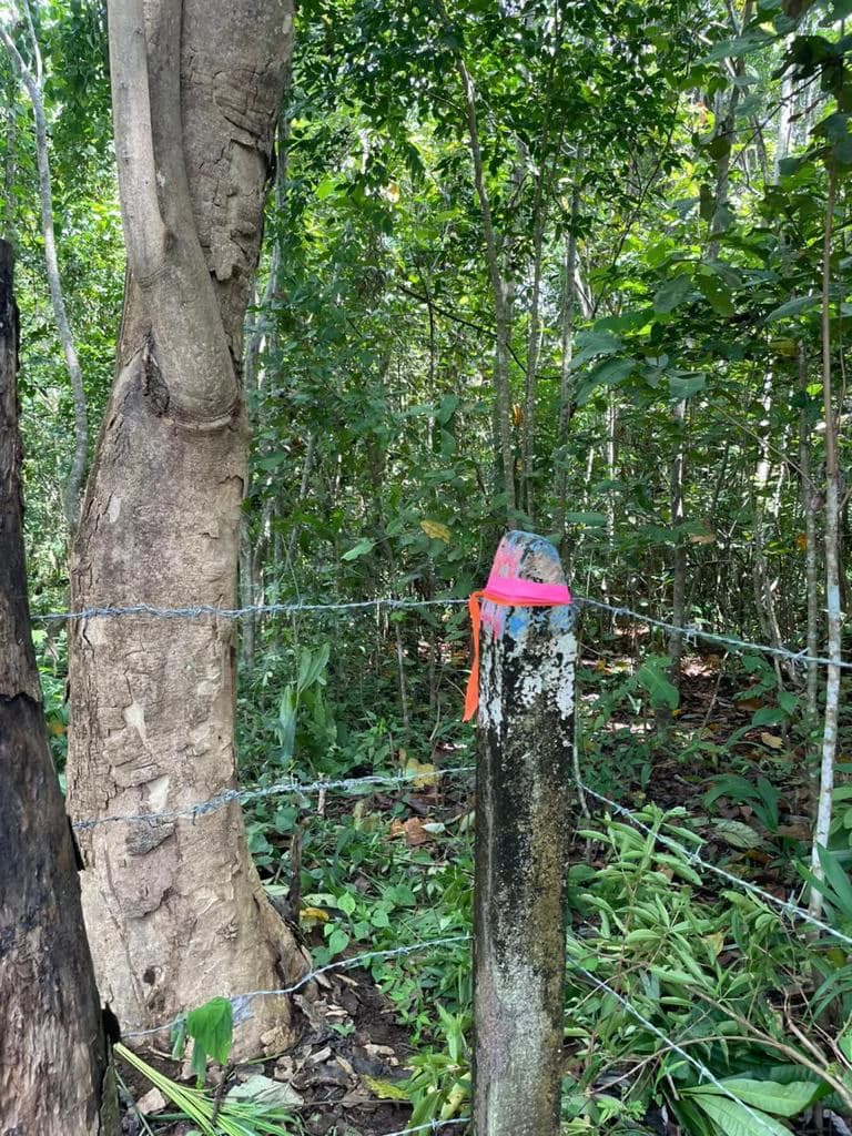Beach Lot #2: 2,263 m2 Nicoya Blue Zone lot - photo 2