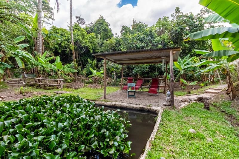 Casa San Pedrito: Beautiful house for sale in San Pedrito,(1,3hect) Perez Zeledon - photo 4