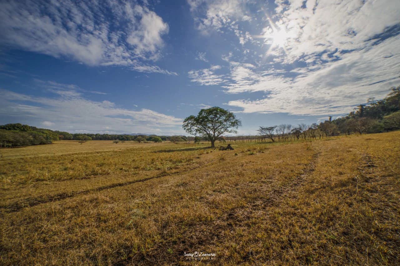 Land for Sale Lepanto Puntarenas overlooking the Gulf Costa Rica - photo 13