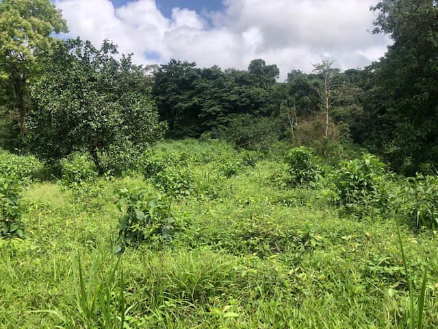 Hot and Cold Thermal Springs for Sale – Beautiful Property in Dos Ríos, Alajuela with Excellent Commercial Potential - photo 35