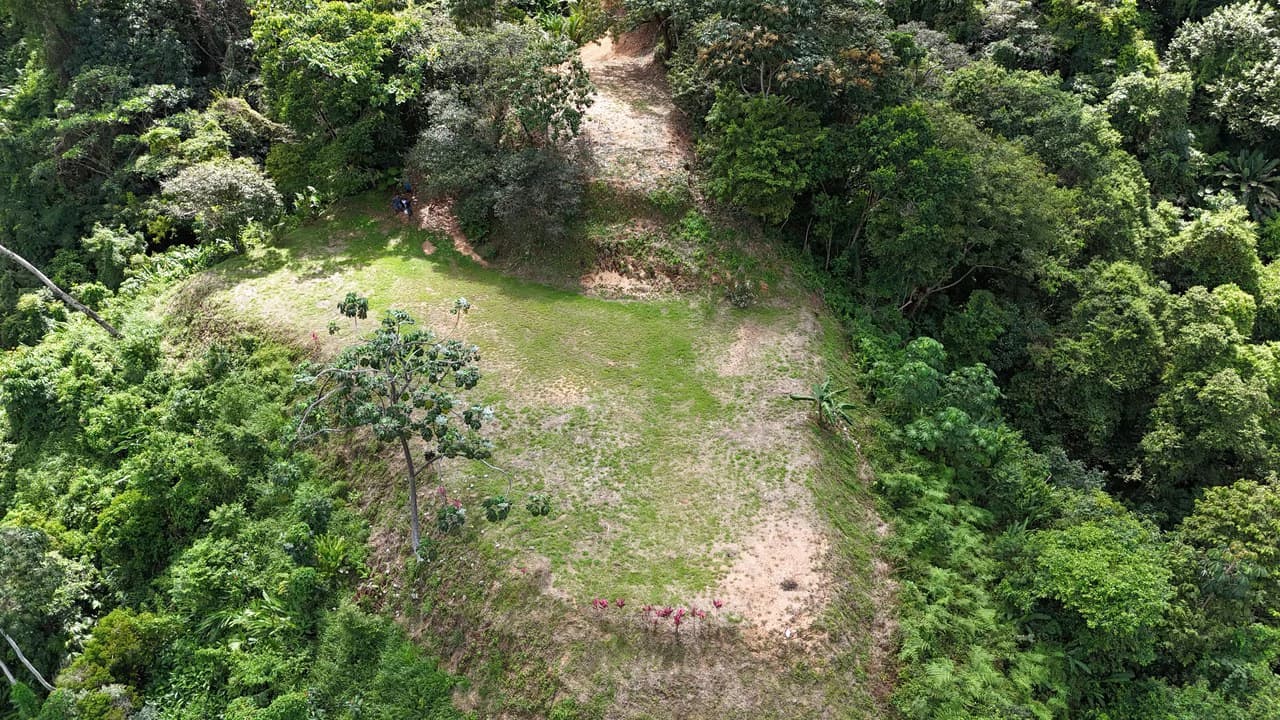 Stunning Ocean, Mountain, and Valley View Property in Tres Rios - photo 10