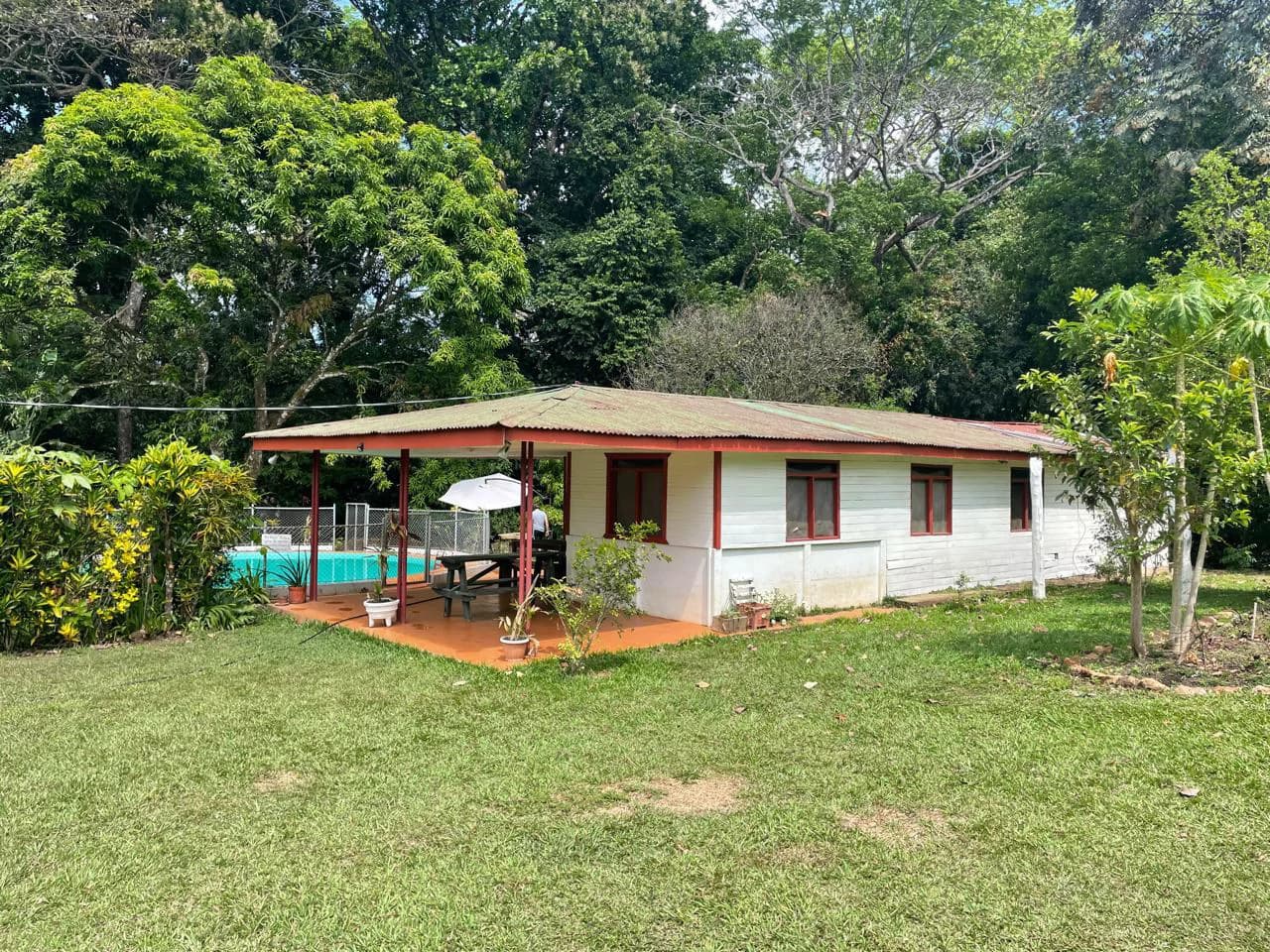 Peace, Privacy, Nature!: Finca in Eco friendly natural area - photo 10